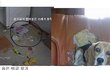 길지만빵터지는미친댓글69ㅋㅋㅋㅋㅋㅋㅋㅋㅋㅋㅋㅋㅋㅋㅋㅋㅋ