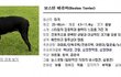 우리집 보스턴테리어 소개함. ( 악마견에 끼워주삼) * 스압주의