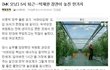 직장인들이 야근하는 이유는 여자때문이다!