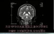 ★★돌아온 지후의 기묘한이야기 - 번외9★★