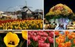 놀토체험나들이 추천~ 볼거리 풍성 :)