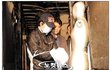 [그때 그 사건] 논현동 고시원 방화 도살사건