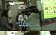 뇌성마비 길냥이 '미래'의 이야기 [4화][完]