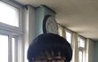 ★☆★☆★☆★☆★누가더 못생겼는지 판단해주세요!!사진有有