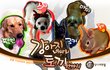 ✿강아지네마리 토끼한마리✿ 6