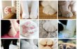 귀여워죽겠는 고양이 발