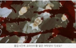 소름돋는 일본드라마는 이게 레전드지