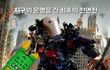 이거 다 알아볼 수 있는 사람있음?