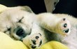 이것이 바로 폭☆풍☆성☆장☆