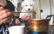 ◆◆찌개두부^^부침두부◆◆