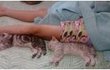 아옹다옹 천방지축 성장기 2탄