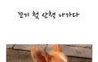 우리 꼬기 남자친구 구해요~  사진有