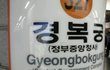 쿨한 백혈병환자와 서울의 야경