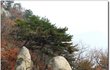 가지고싶다..(필독 사진有)
