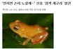 ♛나도얘키우고싶어♛
