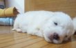 ♡대두,산만이,찌질이 육아일기♡3탄 !!!! 