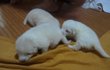 ♡대두,산만이,찌질이 육아일기♡4탄 !!!! 