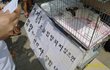 사지말고 입양하세요! 유기견을 알립시다!