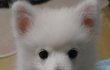 ★★★행복이의 행복한(?) 자취방 <2탄>★★★