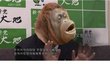 빡침주의) 일본인들이 말하는 독도가 일본땅인 이유.jpg
