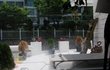 스무살 홀로 국내 성당기행 *-* 사서고생 프로젝트 1-답동성당