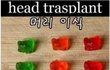 [혐오주의] 신체이식