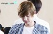 EXO-K 찬열이랑 세훈 공홈답글ㅋㅋㅋㅋㅋㅋㅋㅋㅋㅋ