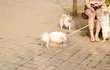 @ 세종대왕의 한글사랑 12탄!!!