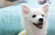 ★★★행복이의 행복한(?) 자취방 <4탄>★★★