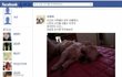 SNS하는 우리집 할배개님을 소개합니다.