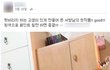 적당히들 합시다.