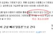 중앙일보 개소리 기자