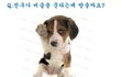 웃긴글/웃긴댓글ㅋㅋㅋㅋㅋㅋㅋㅋㅋ