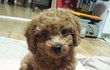 자가미용함부로하지마세요ㅠㅠ