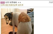 ★★★★★엄청난 쇼핑몰 후기★★★★★★