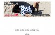 나는펫 3 김선형의 [Real Life Story!] 제 12 화 날이 더우면 바다를 가야지~