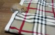 [고양이분양] 귀욤열매 과다섭취한 비주얼 甲 아기 고양이