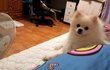 [몽식이5탄!!] 인형구출작전