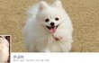 @ 곰돌이 한글이와 세종대왕 [16탄!!!]