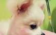 @ 세종대왕의 한글사랑~ [17탄!!!]