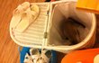 2탄●○●홍대고양이카페 알바생이쓰는 31마리고양이 이야기(사진 多多 !)●○●