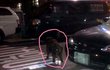 사진有)천연기념물368호가 유기견이라니ㅜㅜㅜ