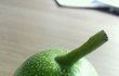 후기썼어요[사진有]호두까다가ㅋㅋㅋㅋㅋㅋㅋ