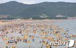 새로나온 오줌맛 시리얼