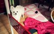 @ 털이 쑥쑥 자라는 한글이 [19탄!!!]