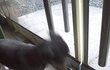  乃 개성넘치는 우리집개성이 乃