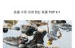 [고퀄]동물 폐활량순 Topo 8 (출처: 오유)