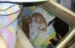 ★도와주세요! 새끼고양이 분양받으실분ㅠㅠ★