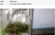 미댓님 그리워서 내가 쓰는 웃긴사진 4