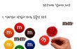 레고의 甲 !!!